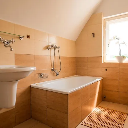 Otel Villa Irena 2*